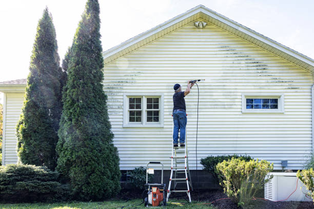 Best Roof Pressure Washing  in Huntsville, TN